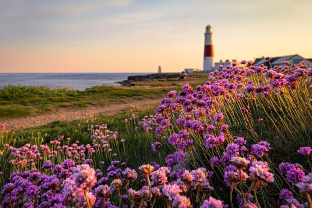 Luxurious Beach House Chesil Beach. Sleeps 6 Castletown  エクステリア 写真